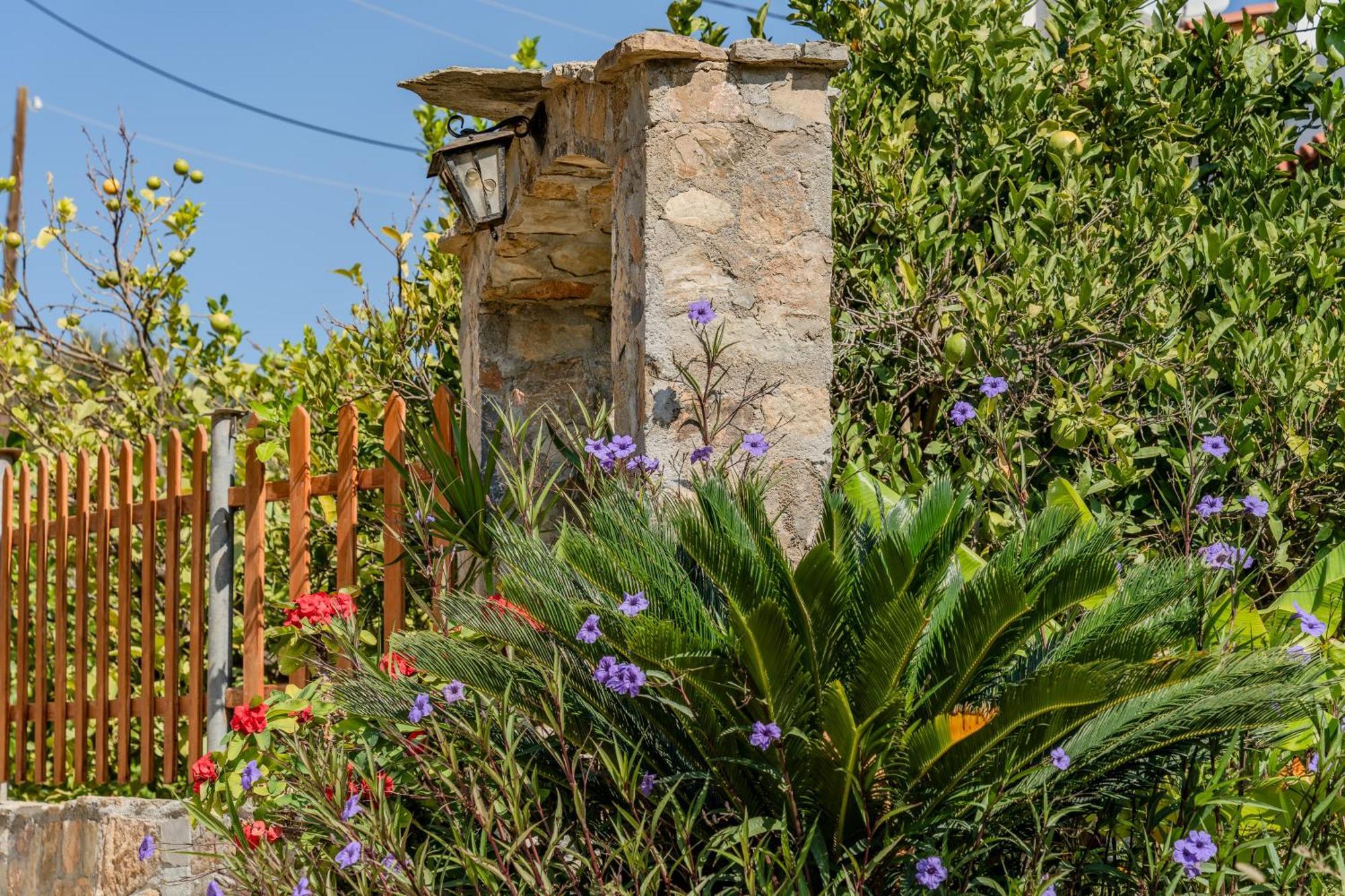 Athina Villas Istron Exteriér fotografie