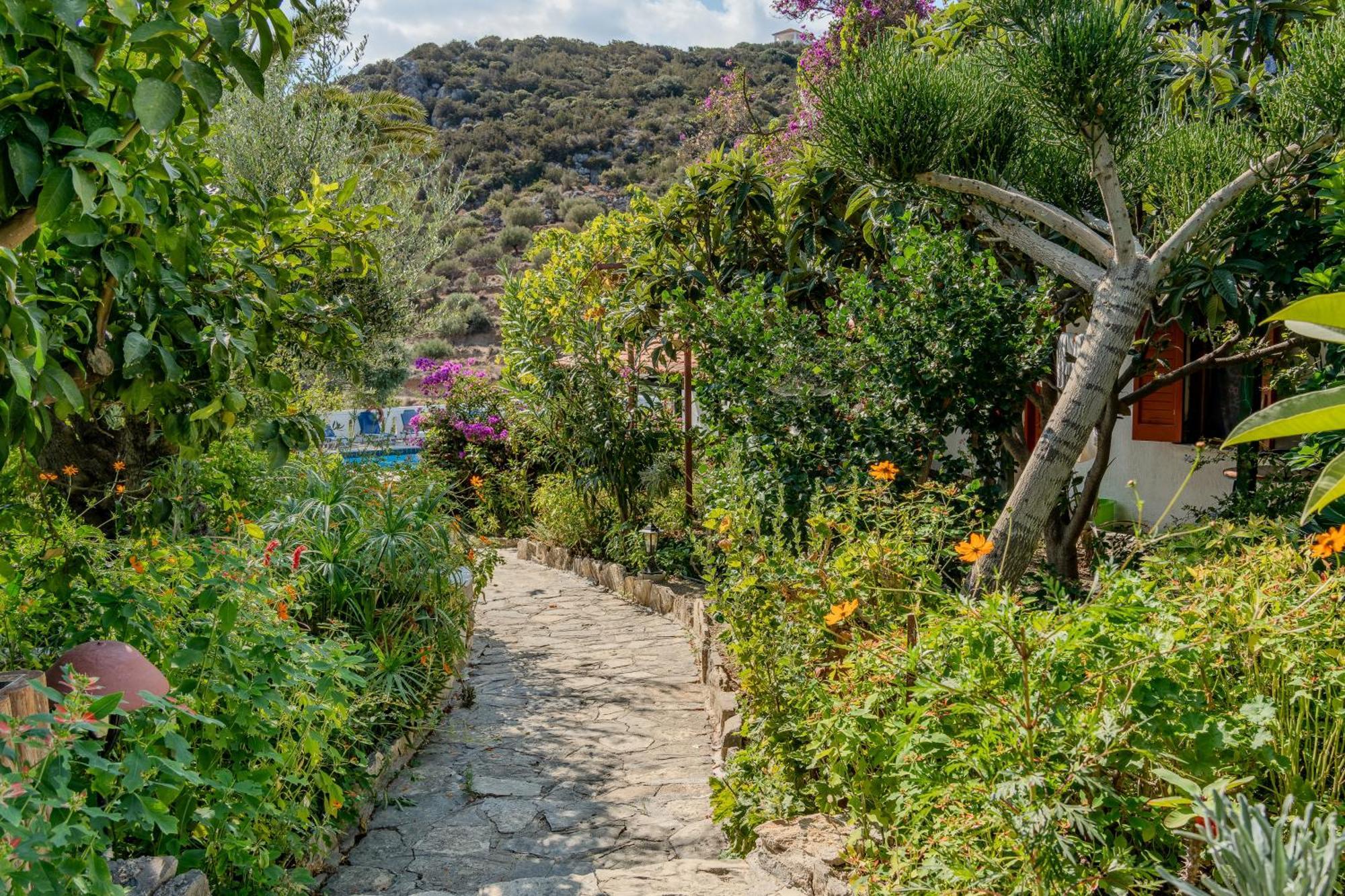 Athina Villas Istron Exteriér fotografie