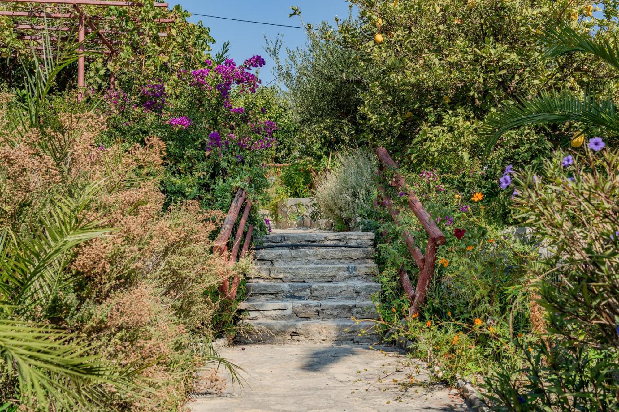 Athina Villas Istron Exteriér fotografie