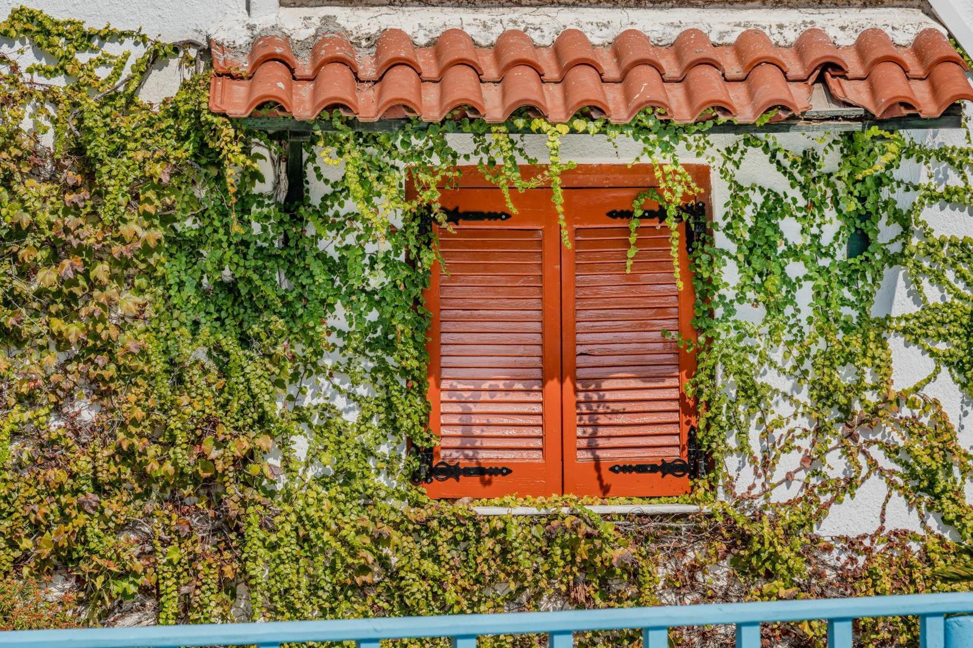 Athina Villas Istron Exteriér fotografie