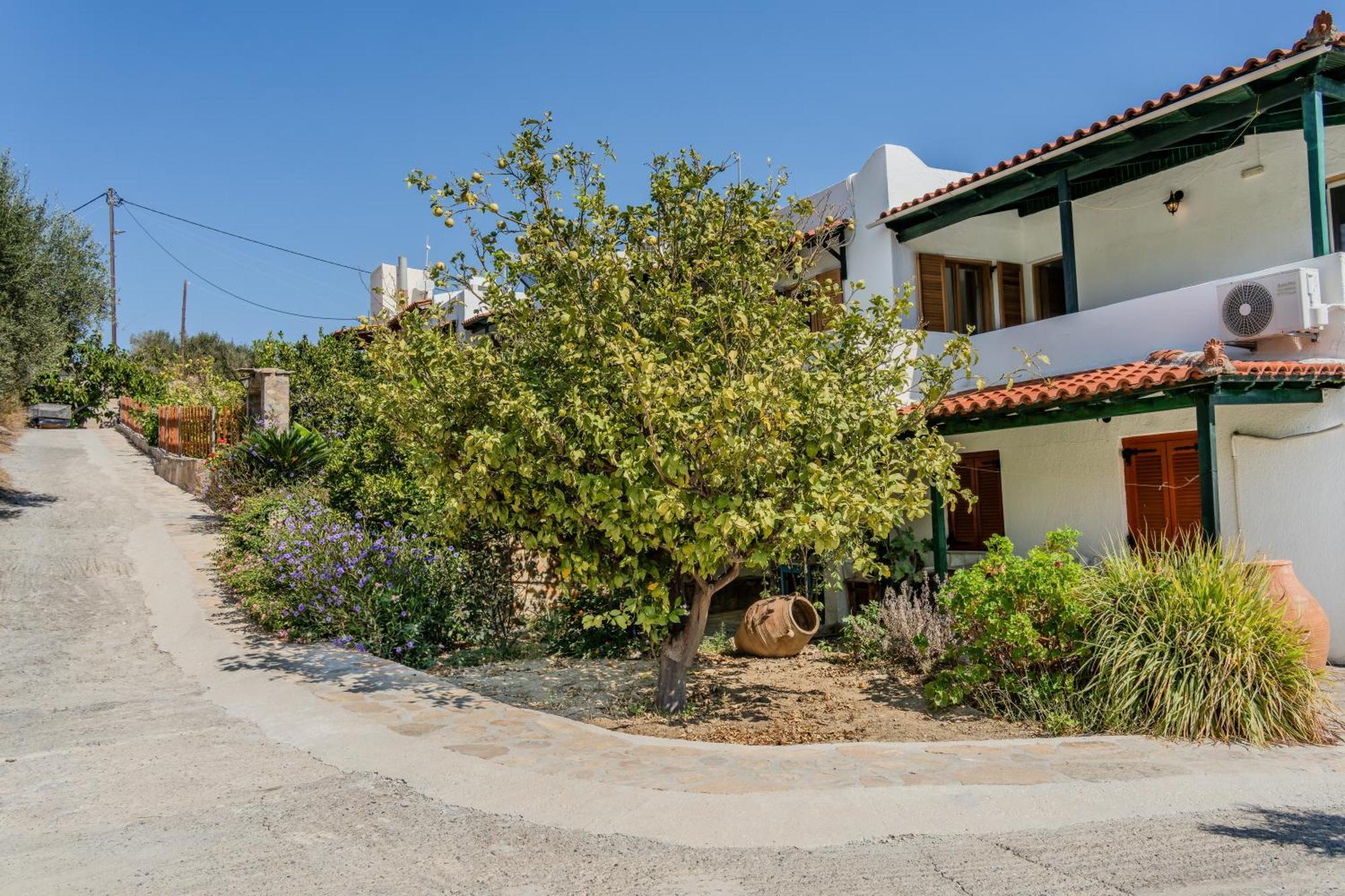 Athina Villas Istron Exteriér fotografie