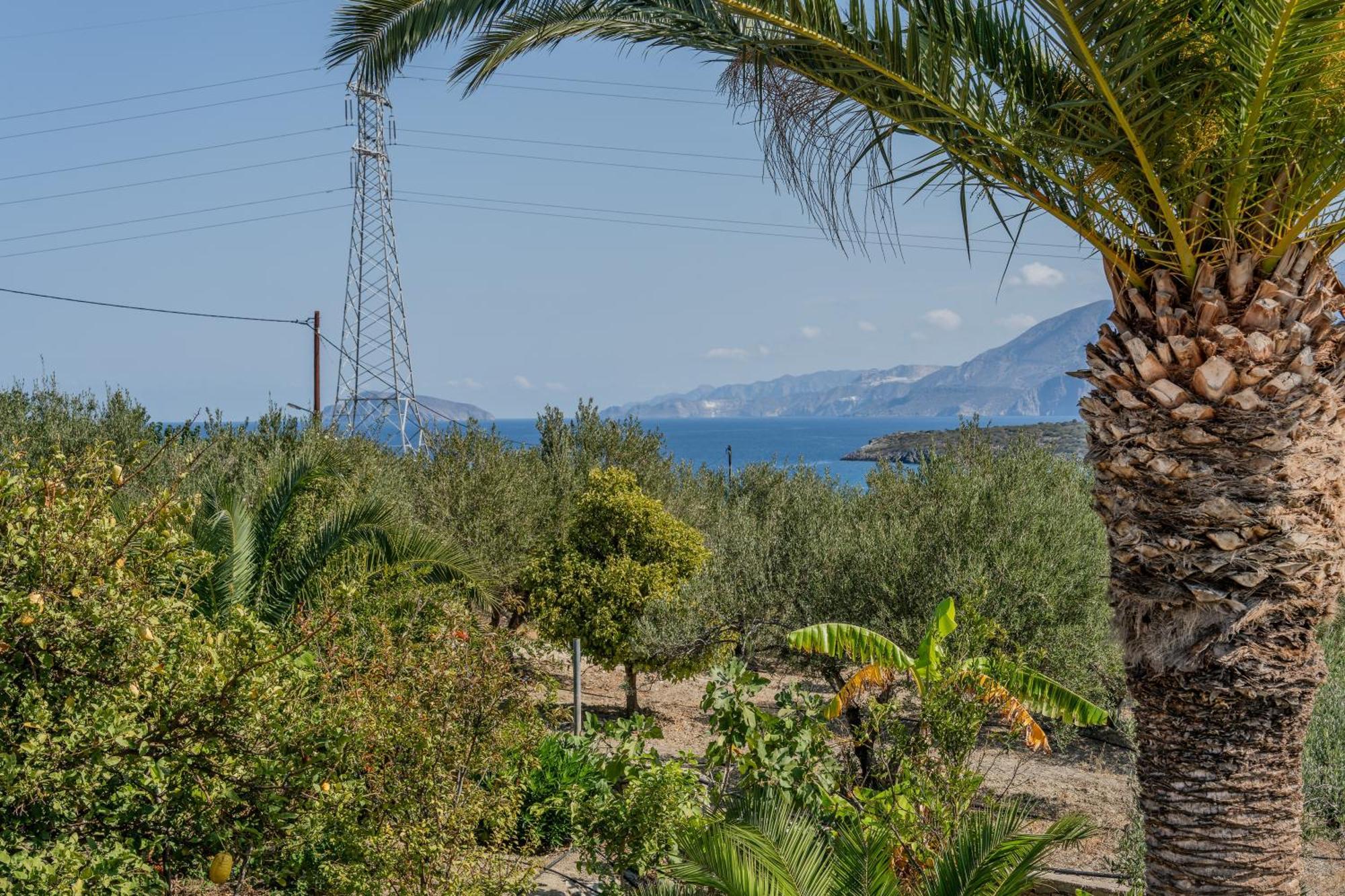 Athina Villas Istron Exteriér fotografie